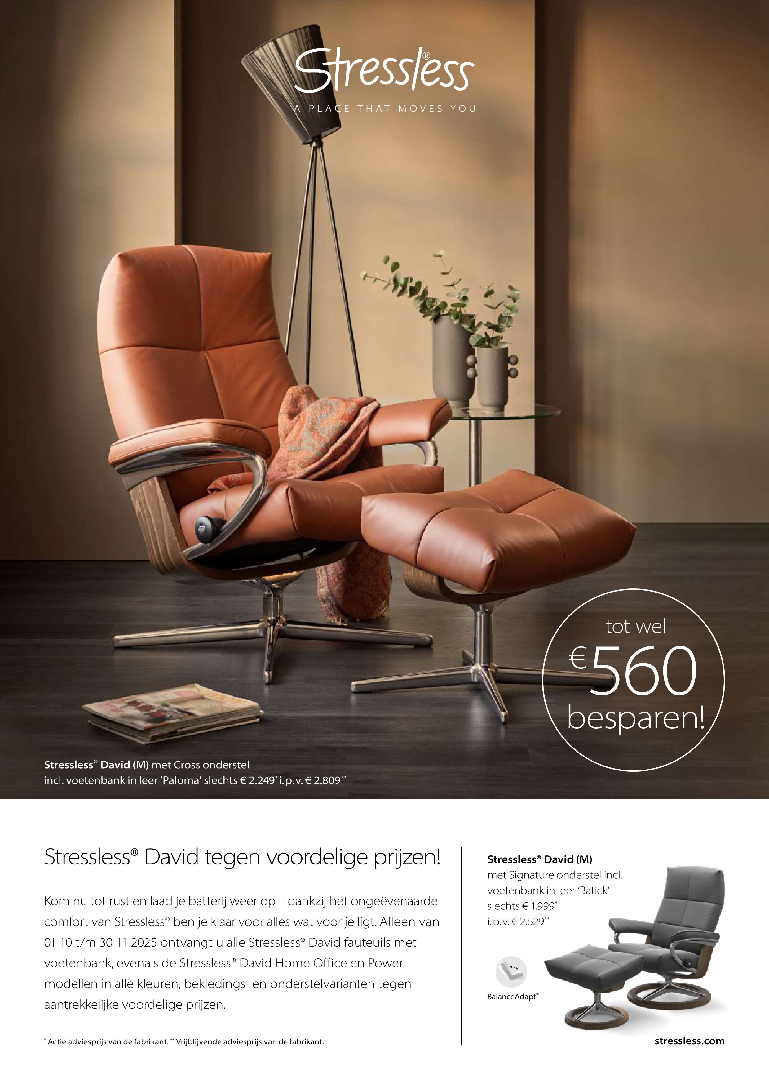 stressless david